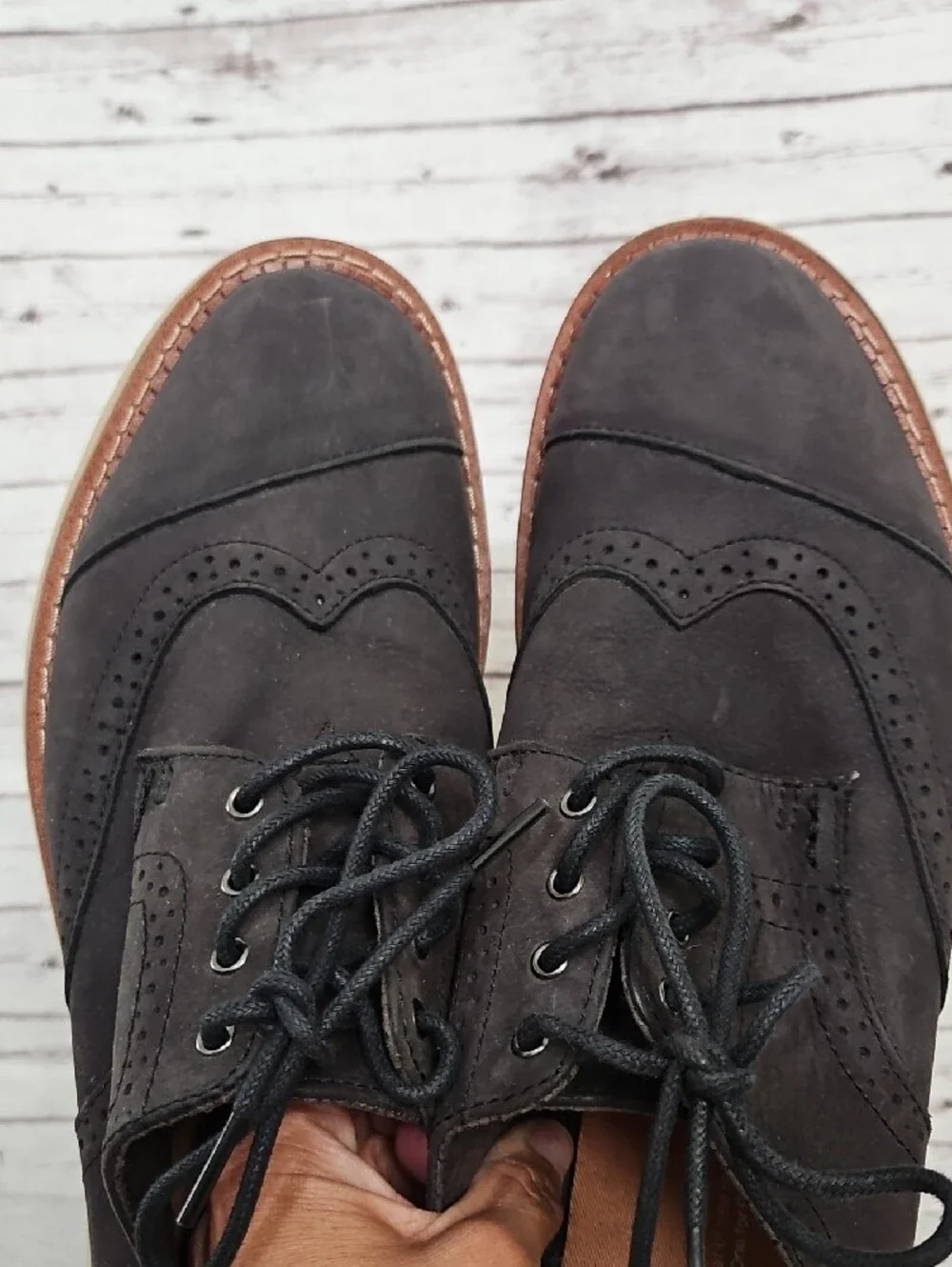 Toms Dark Brown Wingtip Derby Shoes with Cream Sole